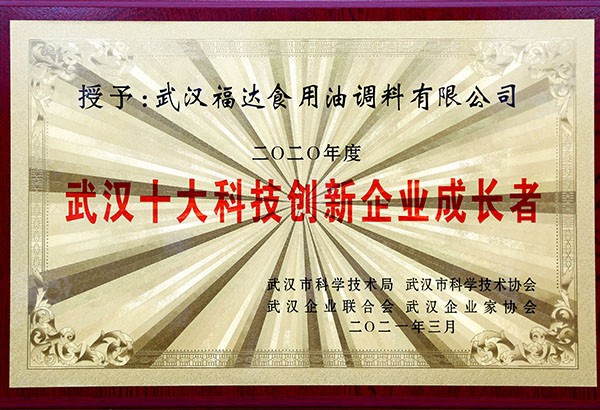 武汉十大科技创新企业成长者