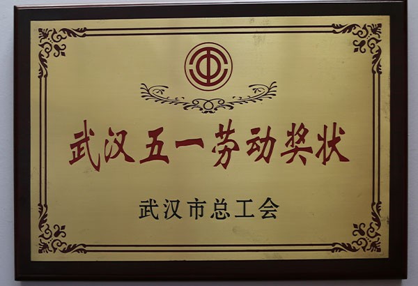 武汉五一劳动奖状