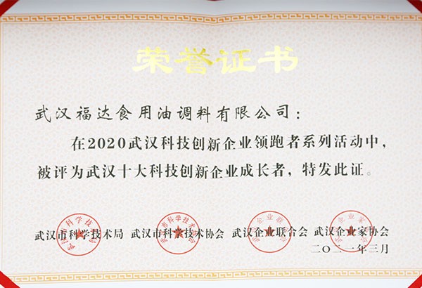 十大科技创新企业成长者证书